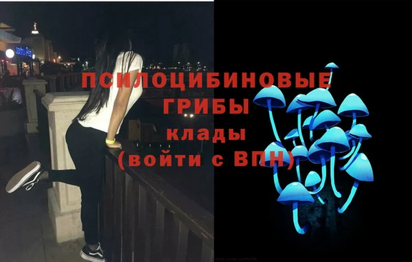 герыч Козловка
