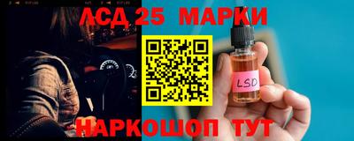 кокс Гатчина