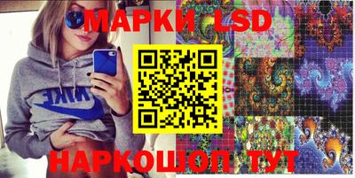 кокс Гатчина
