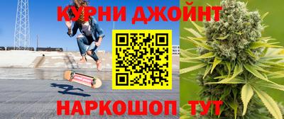 кокс Гатчина