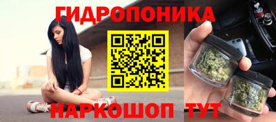 кокс Гатчина