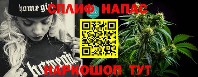 кокс Гатчина