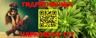 кокс Гатчина