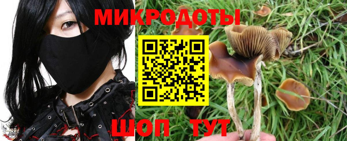 где купить наркоту  Галлюциногенные грибы Magic Shrooms  Иваново  Псилоцибиновые грибы мицелий 