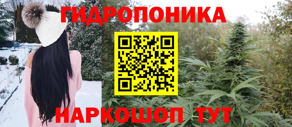 Каннабис семена  Каннабис VHQ  Каннабис тримм  Иваново  Марихуана семена  Вход с VPN 
